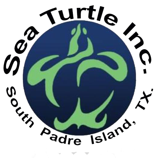 Sea Turtle, Inc.  logo