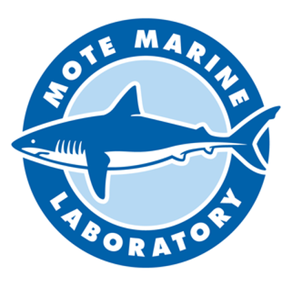 Mote Logo