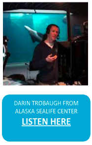 Darin Trobaugh