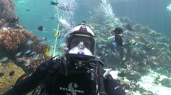 ReefHQAquarium5.jpg ReefHQAquarium5.jpg