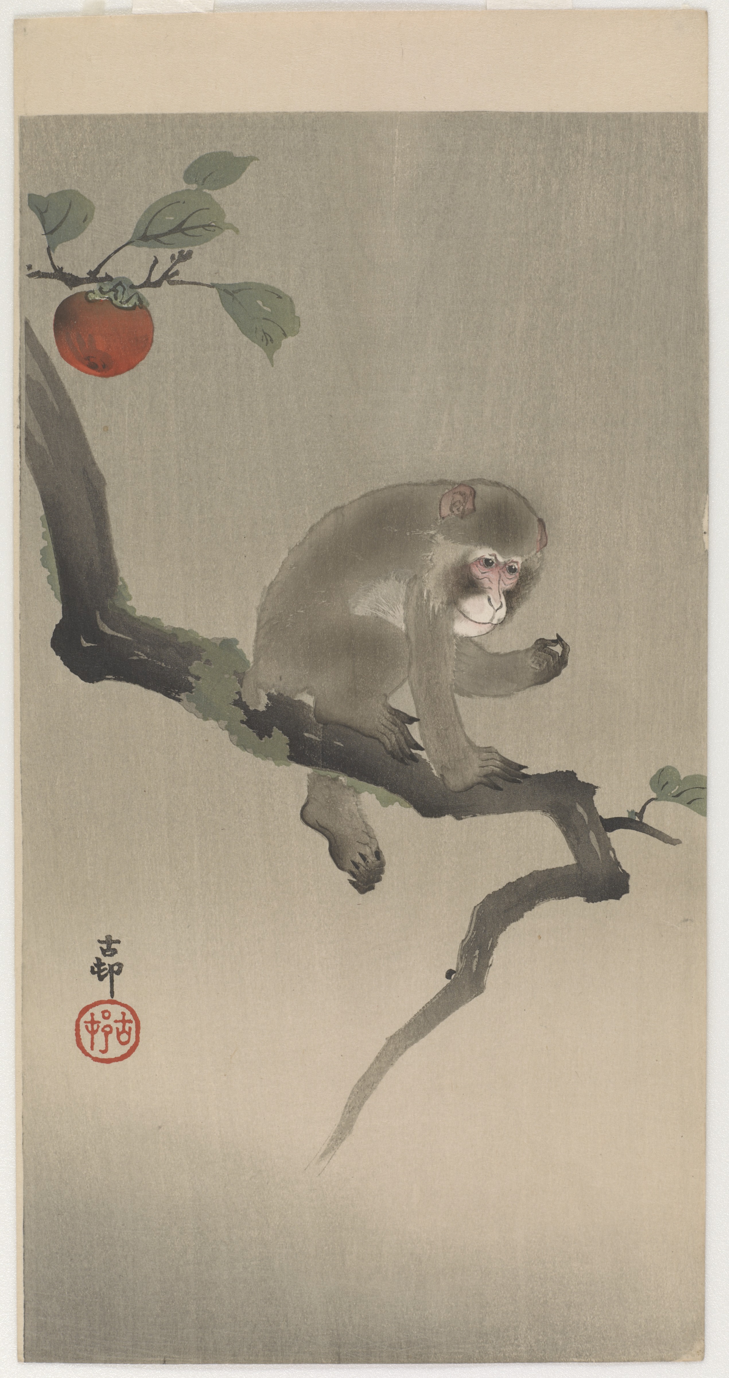 Program image