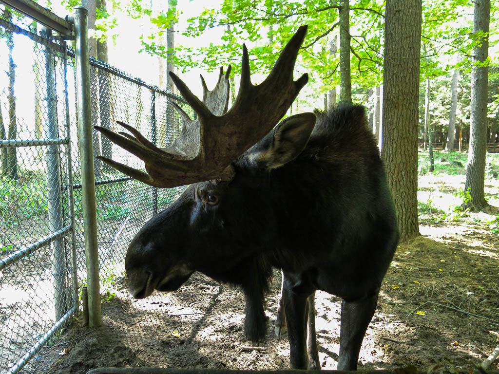 Program image