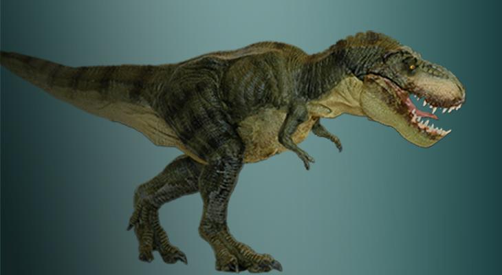 Program image