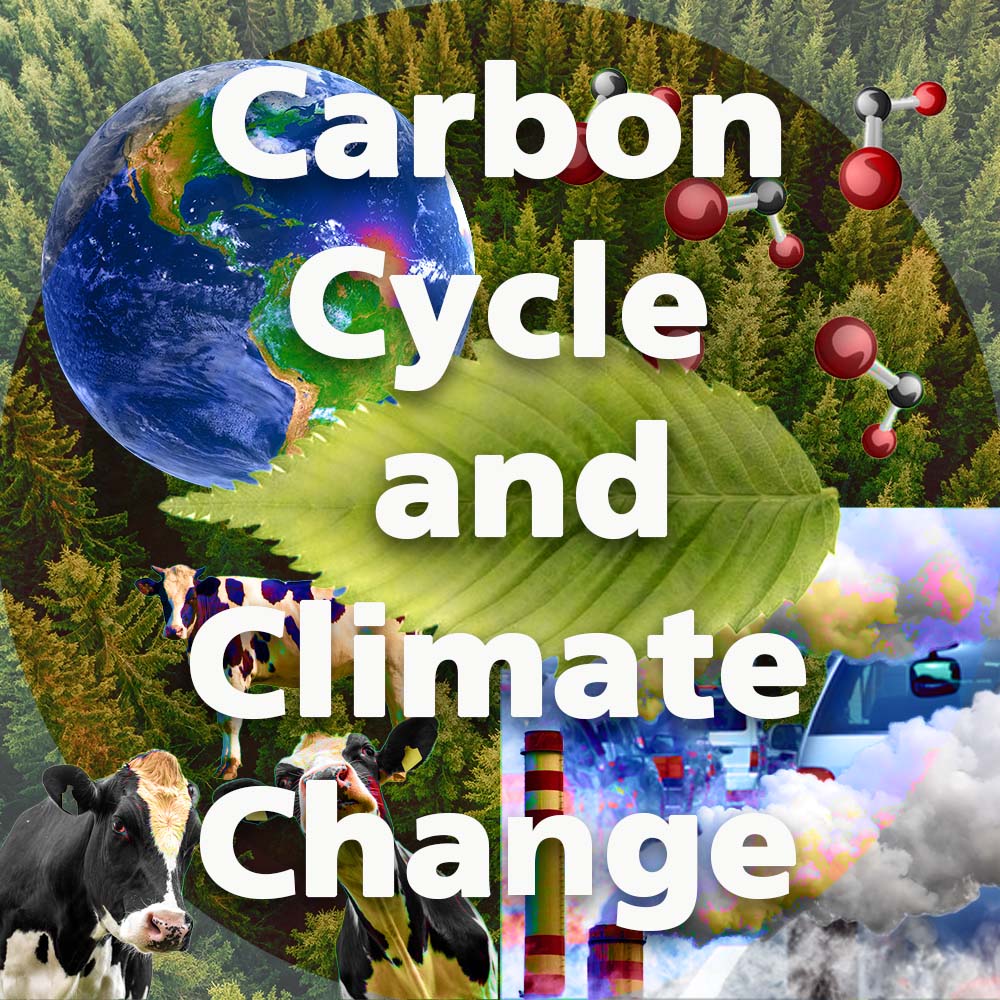 Program image