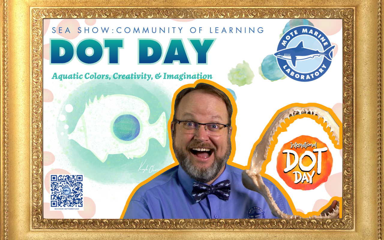 Program image
