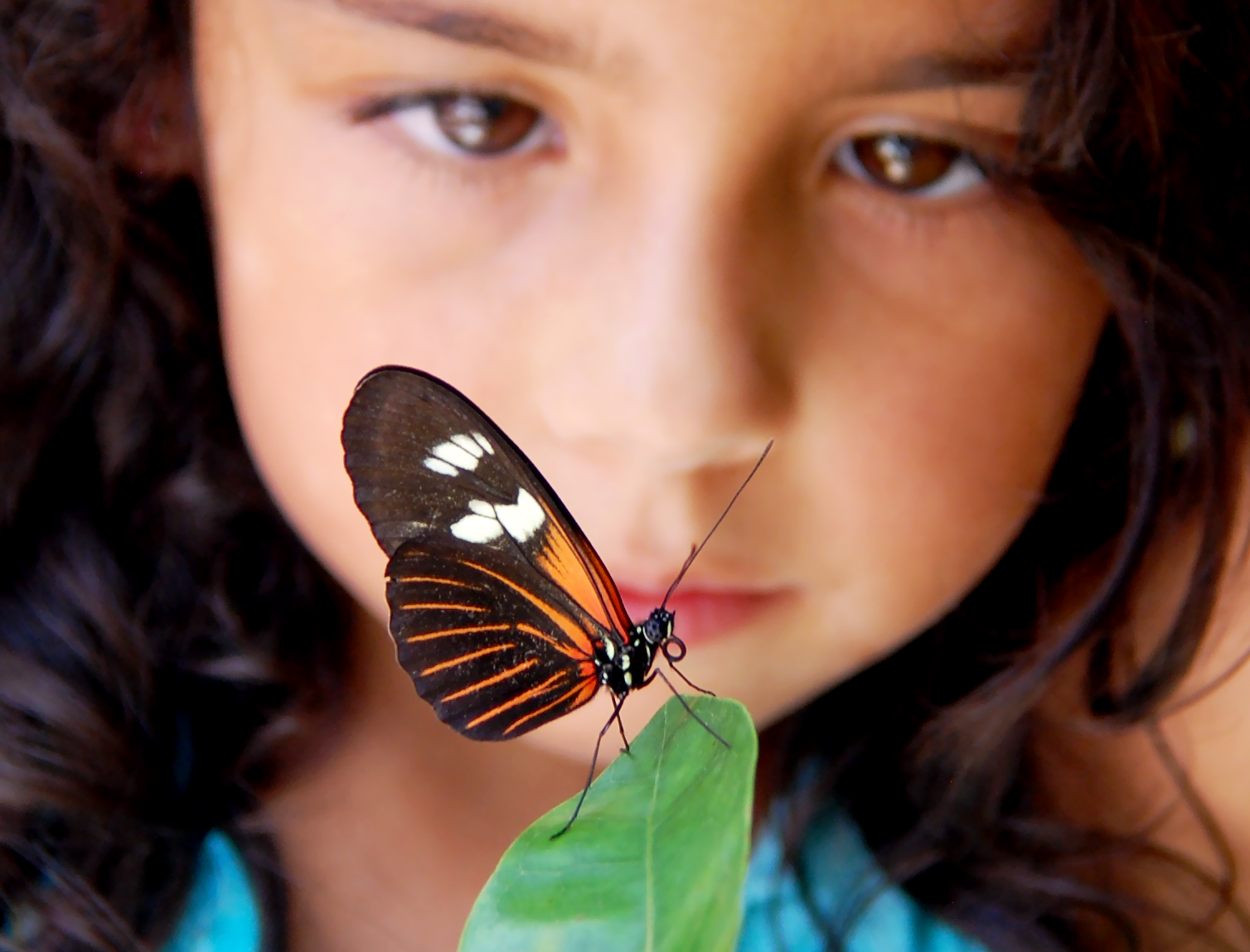 Program image