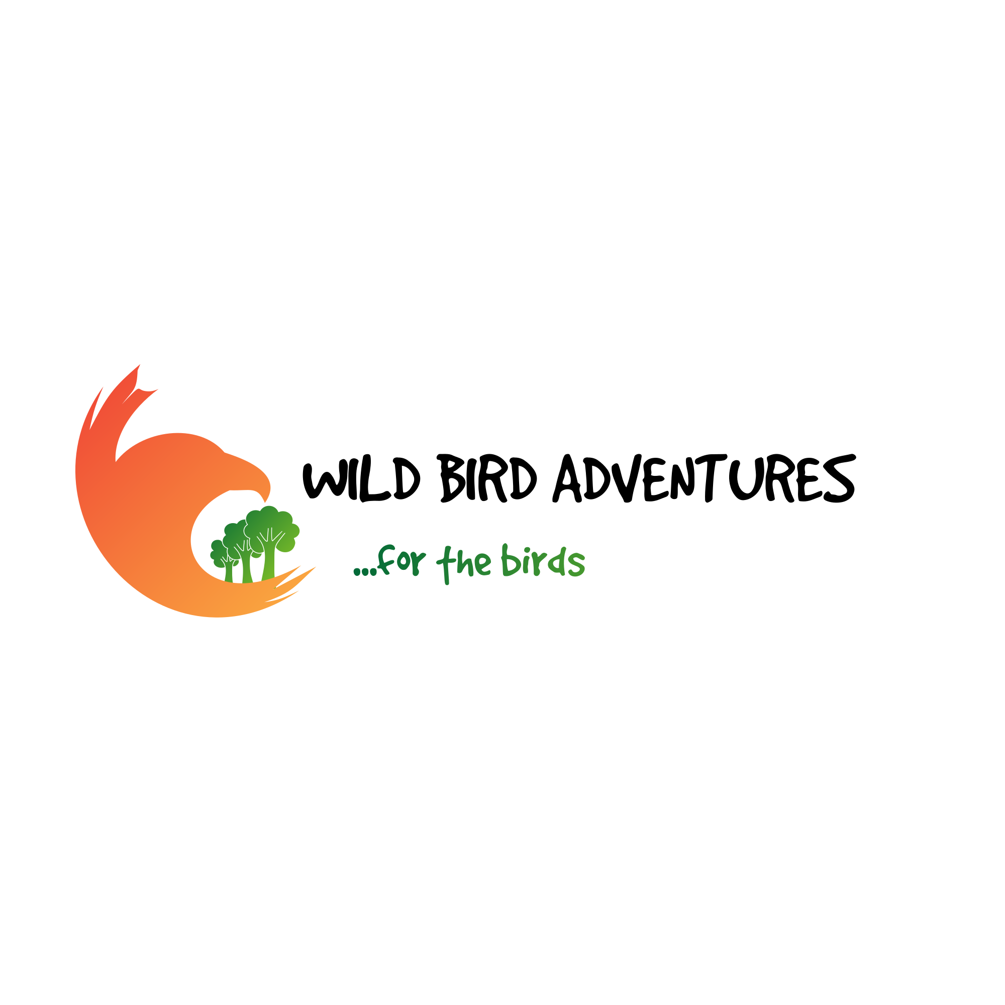 Content Provider logo