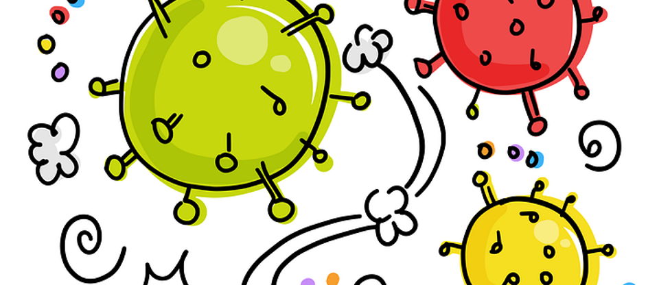 Program image