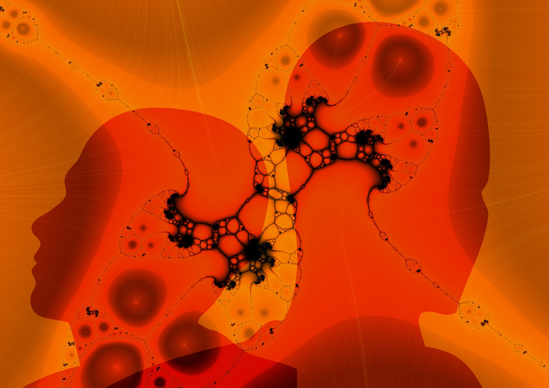 Program image