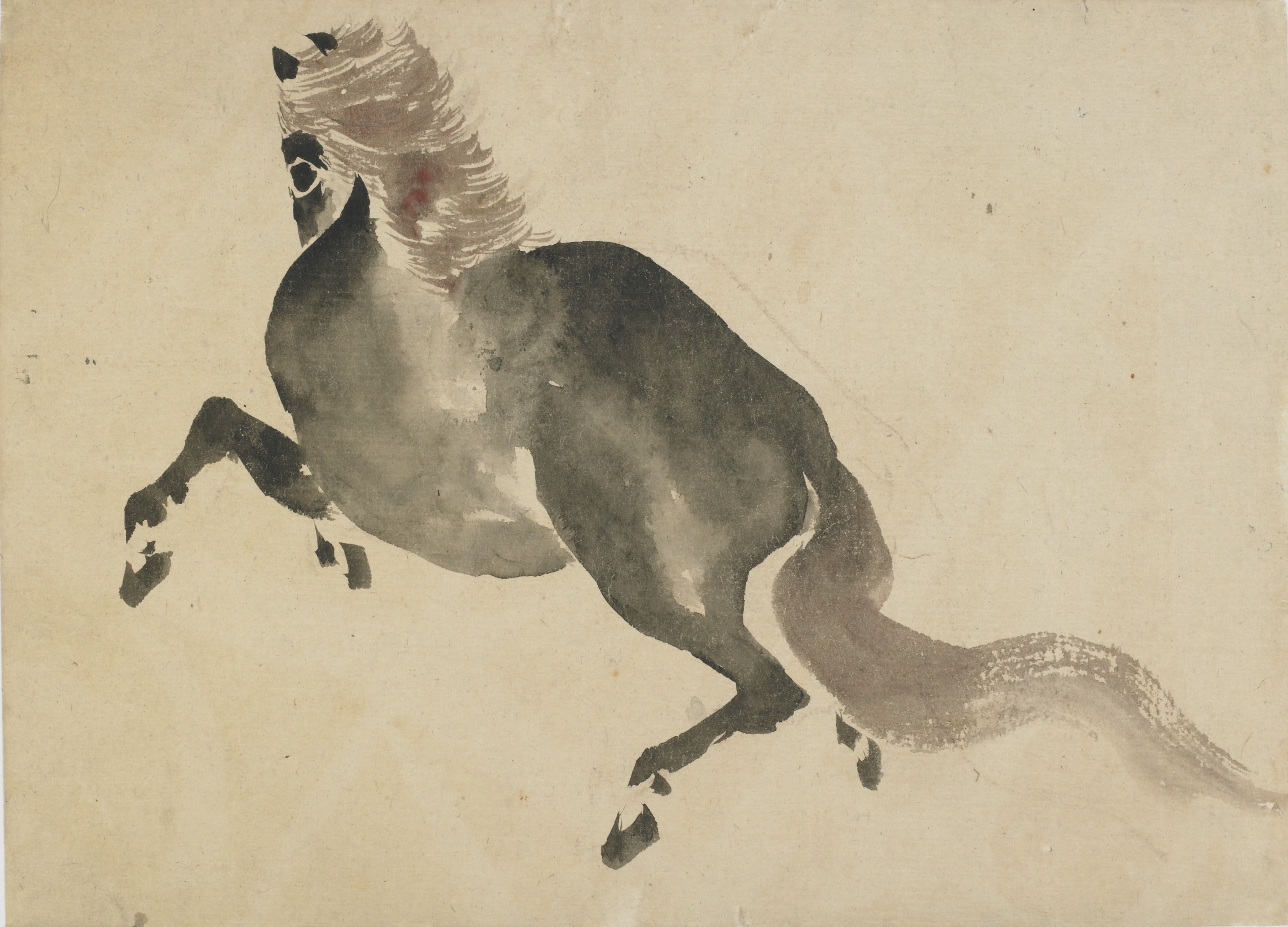 Program image