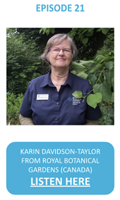 Karin Davidson-Taylor