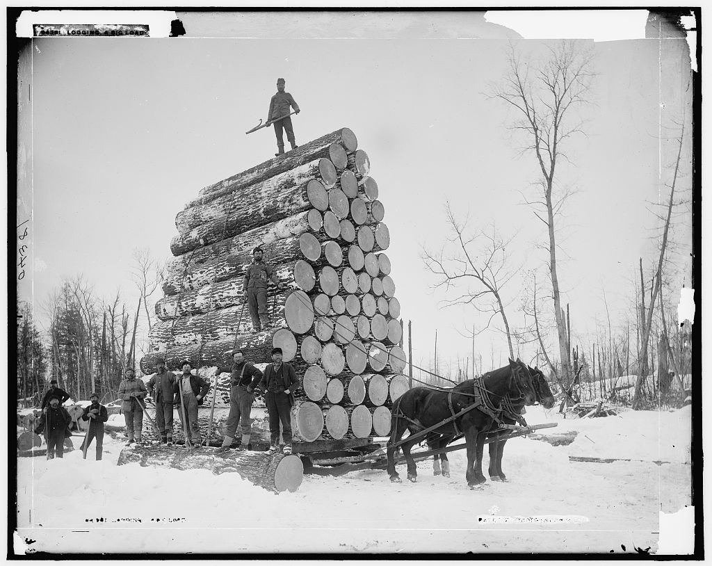 Program image