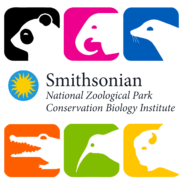 Content provider's logo