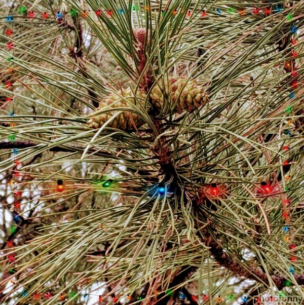 Program image