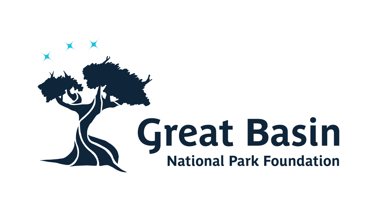 Content Provider logo