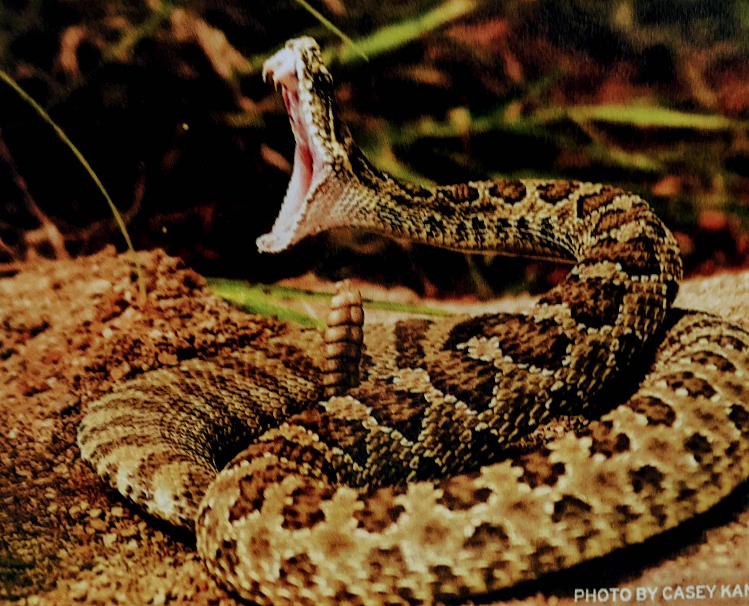 Program image