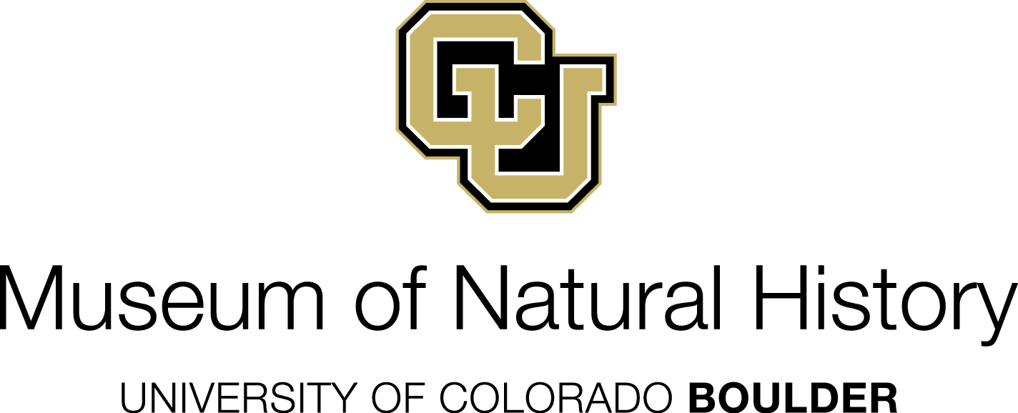 Program image