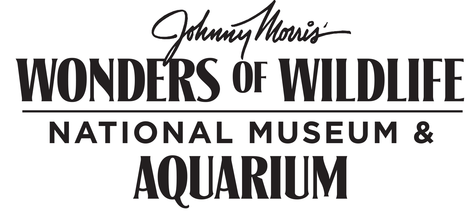 Content Provider logo