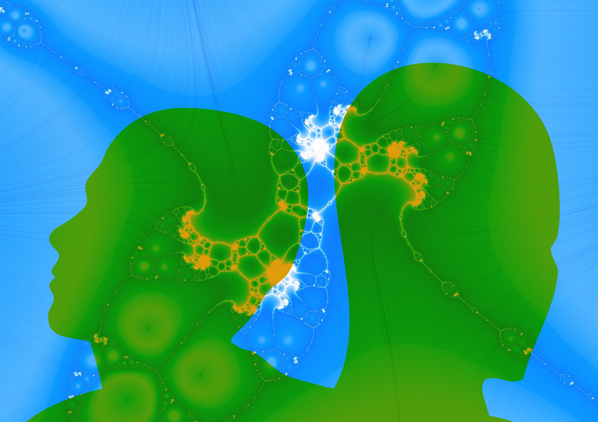 Program image