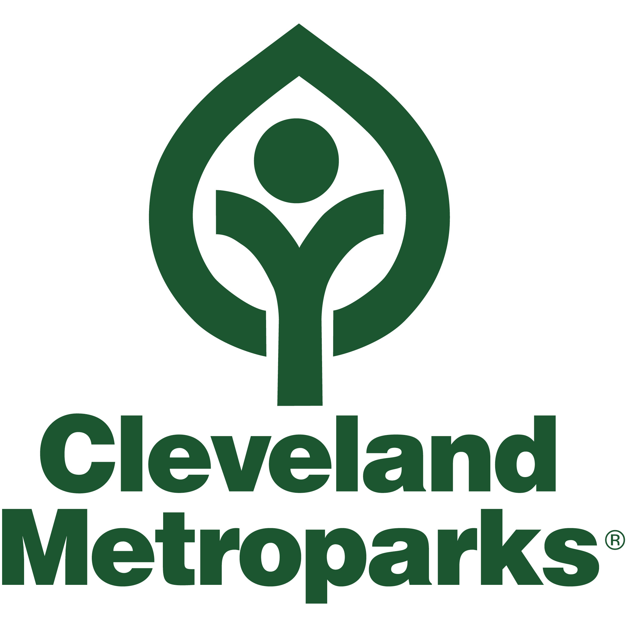 Program image