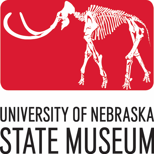 Program image