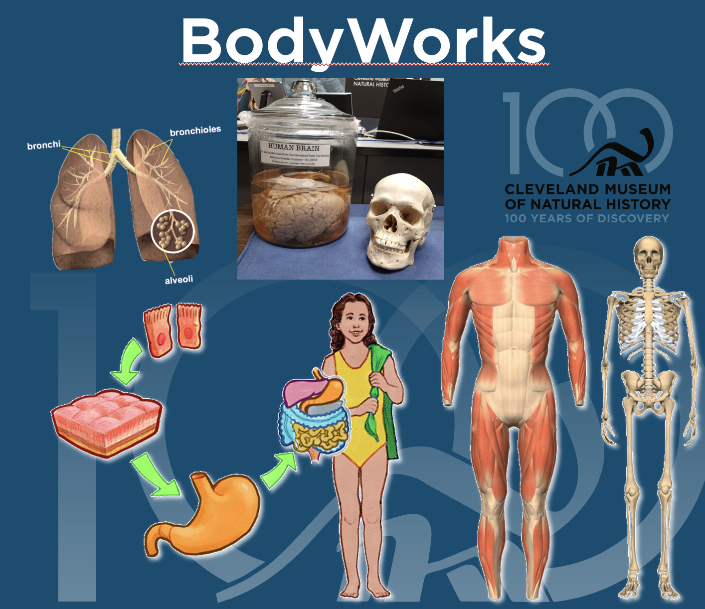 Program image