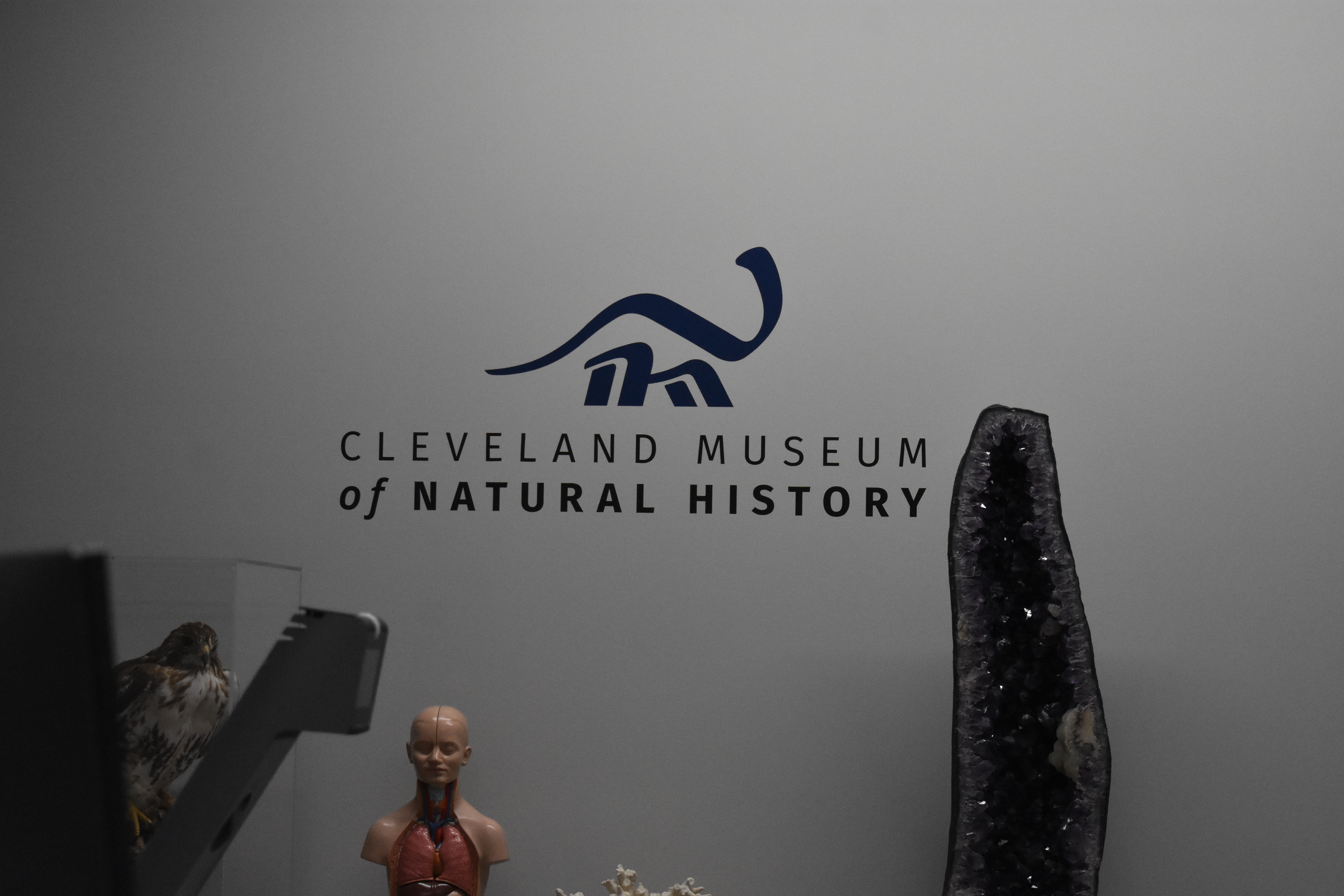 Program image