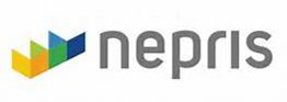 Nepris Logo Nepris Logo