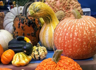 Program image