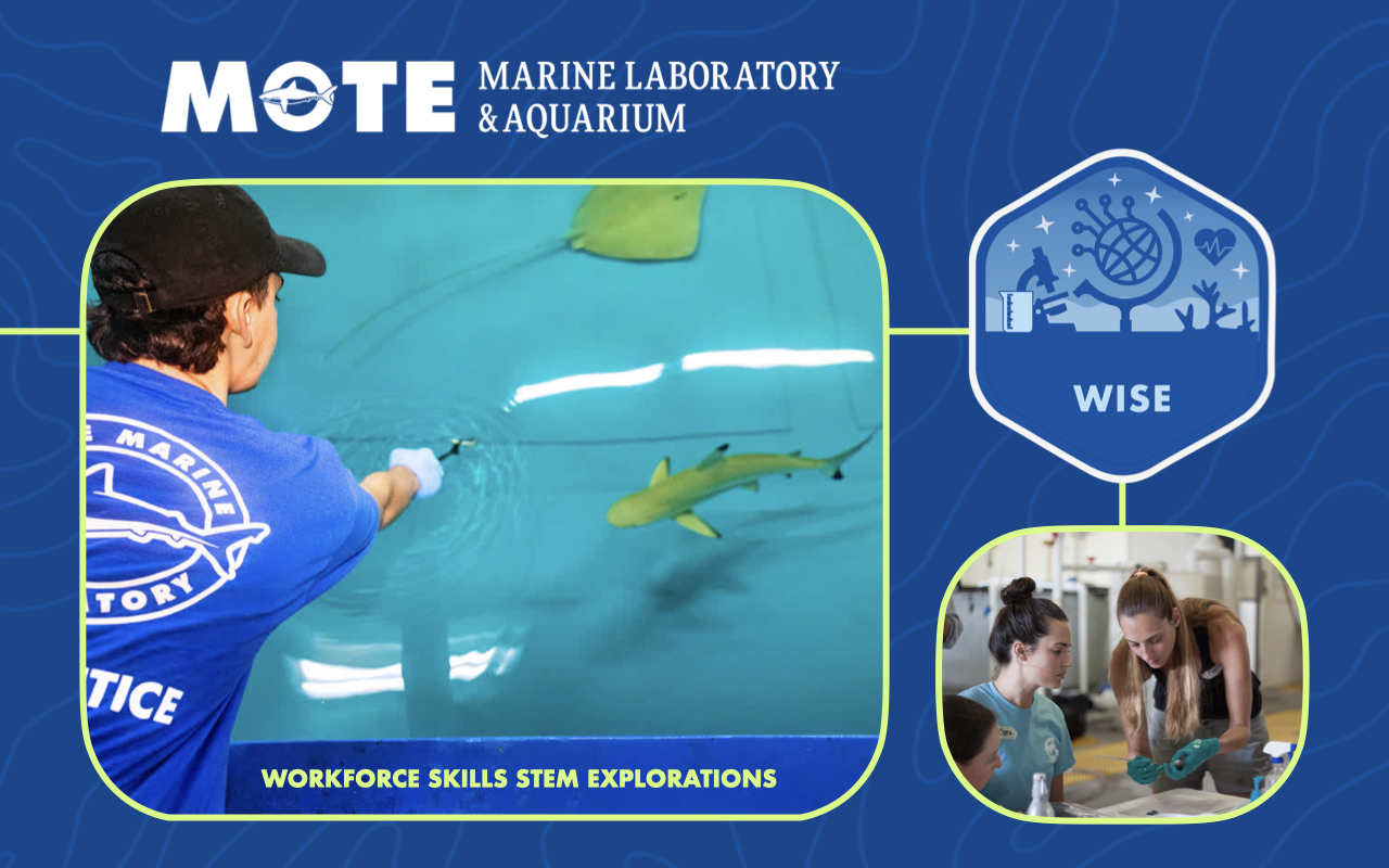 Program image