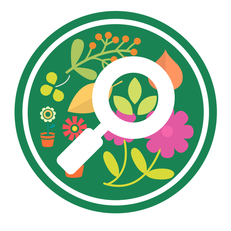 Program image