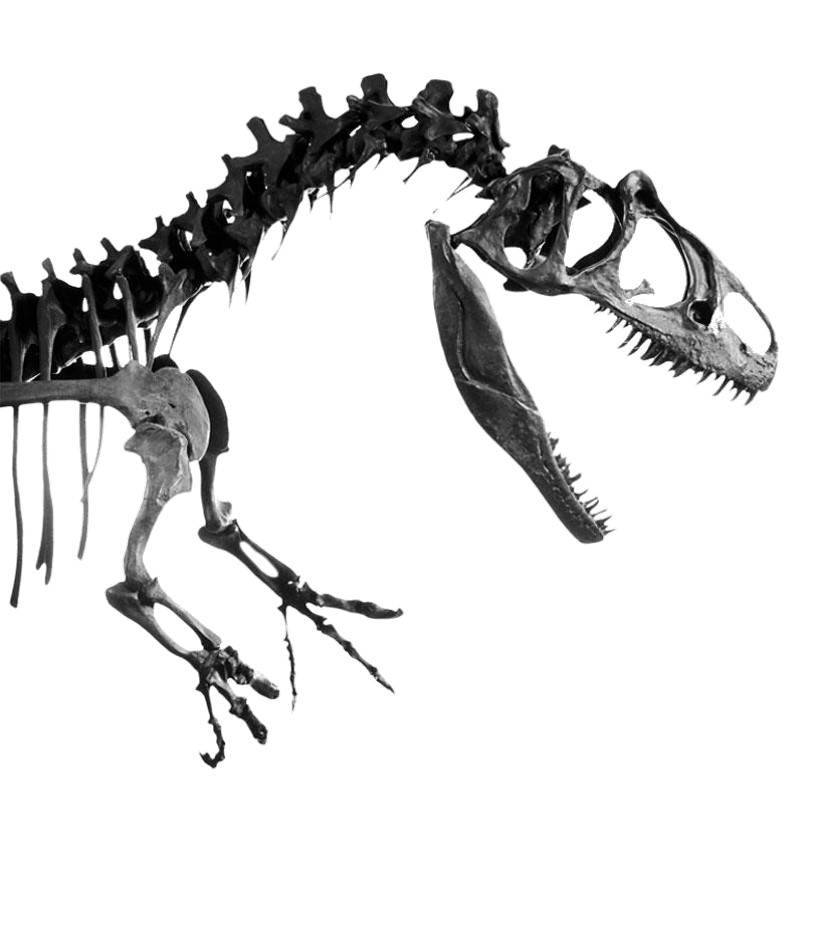Program image