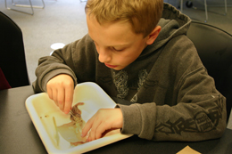 Program image