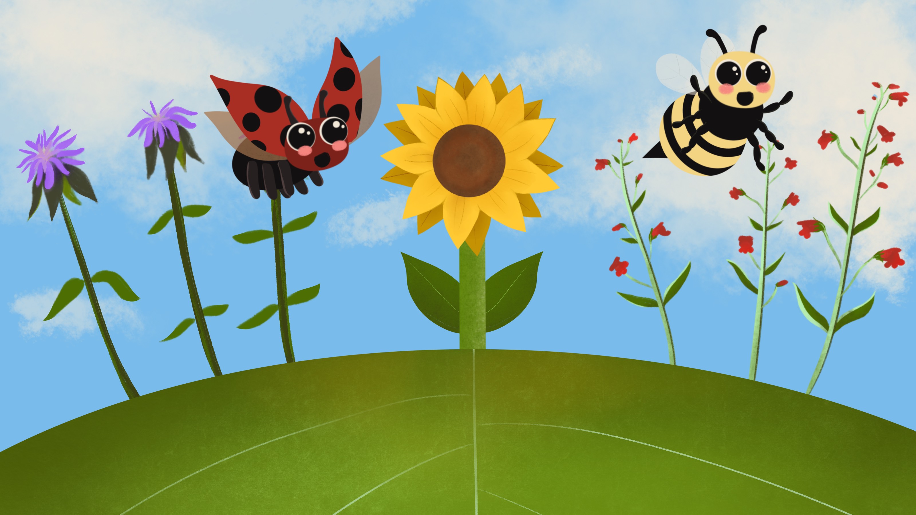 Program image